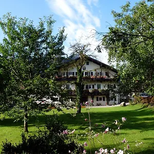 3* Guest house Lex